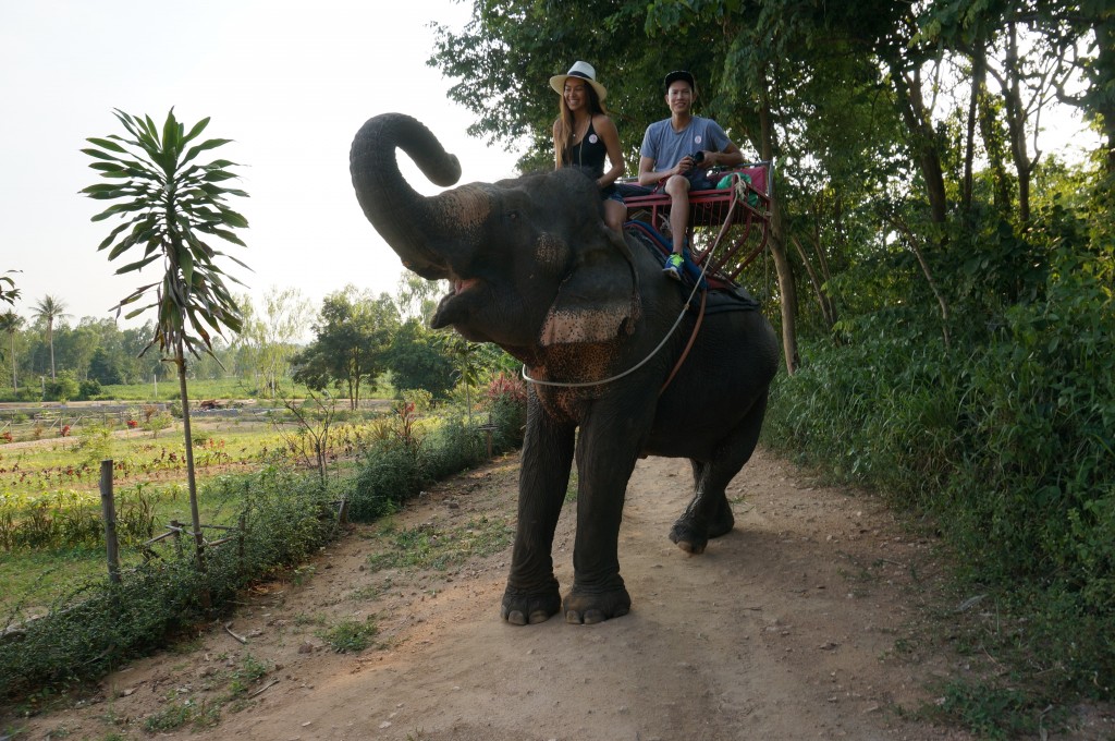 personal mahout