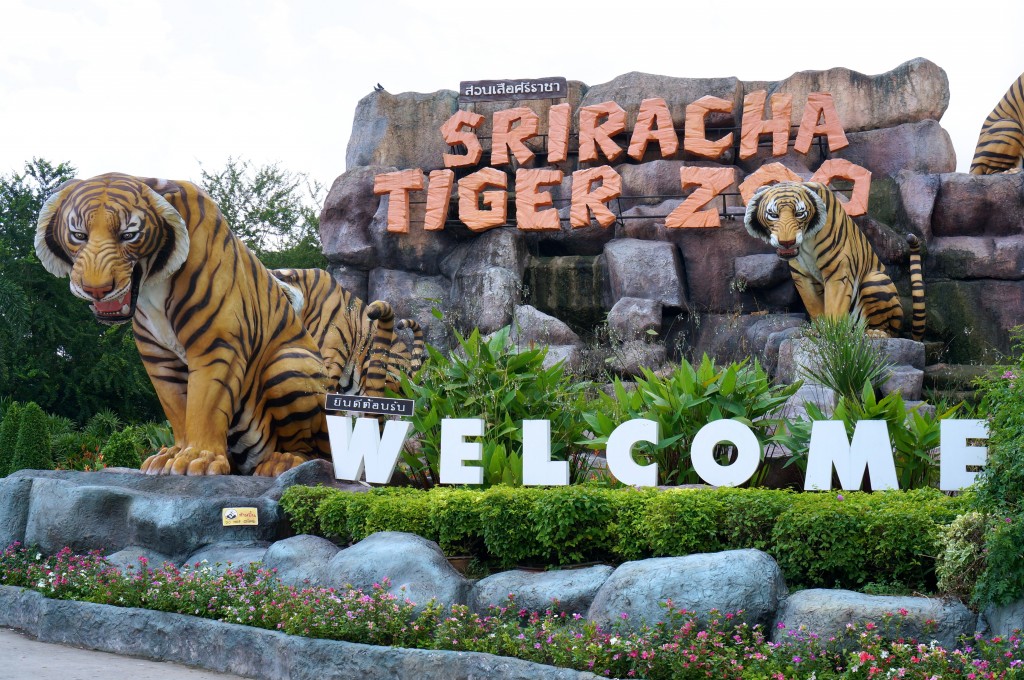 sriracha tiger zoo