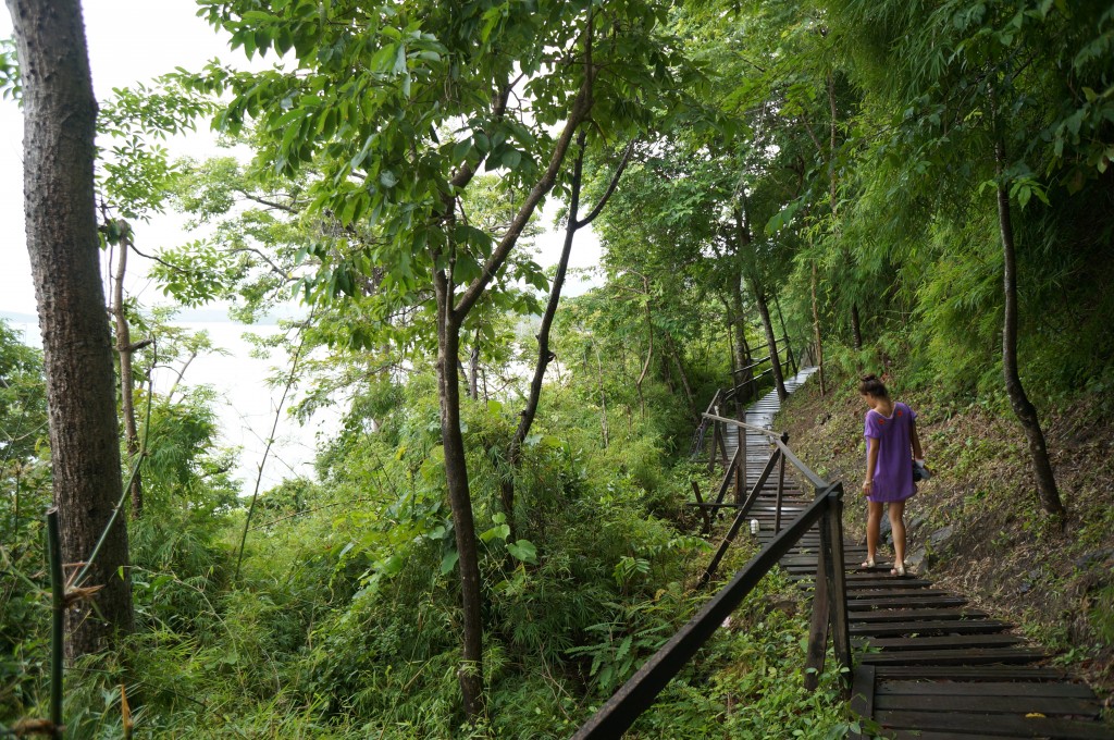 centara monkey trail