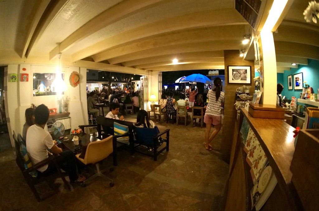 cicada coffee shop